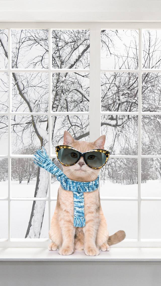 Weather Kitty showing snow weather